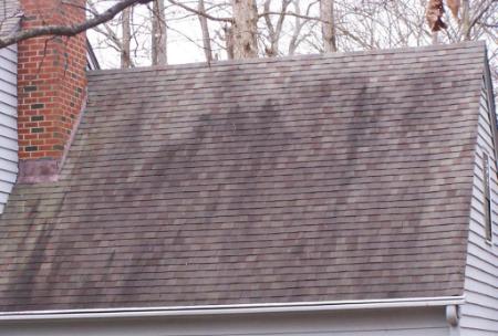 Black streaks on roof